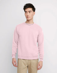 Hanes EcoSmart Unisex Fleece Sweatshirt (Big &amp; Tall Sizes Available)